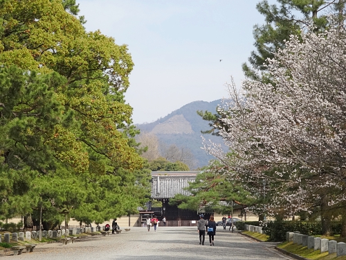 京都御所から見た大文字山