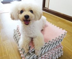 サイトリニューアル中