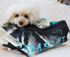 嵐のハワイコンサートのトートーバック