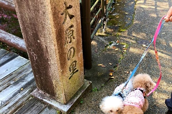 京都大原三千院の石碑