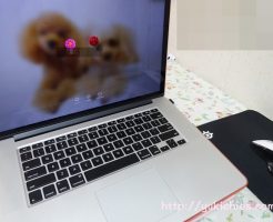 MacBook Pro (Retina, Mid 2012)のSSD交換について