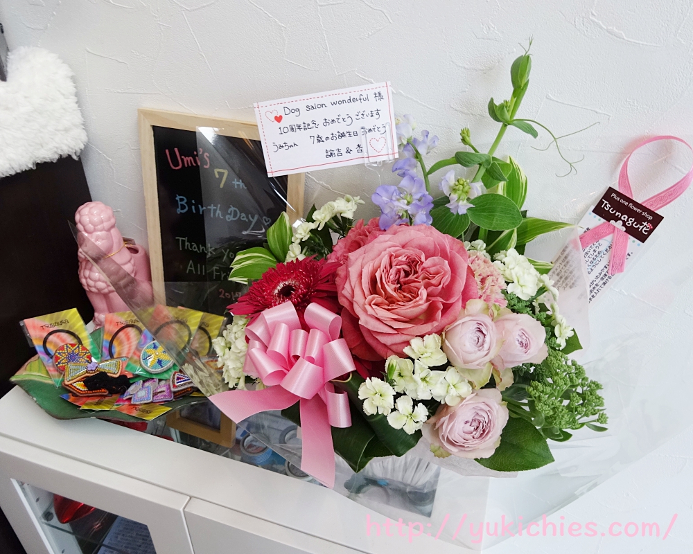 Dog salon Wonderful 10周年記念のお花　うみちゃん７歳のお誕生日