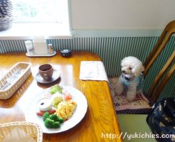 岡山県瀬戸内市牛窓　ワンちゃんと泊まる宿ラハイナ　諭吉