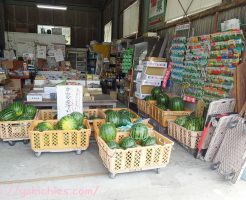 岡山県瀬戸内市牛窓　農家の野菜屋さんのスイカ