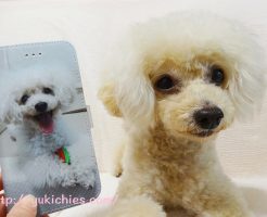 iPhone8ケース諭吉