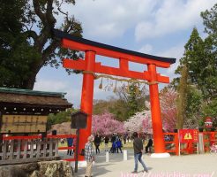 上賀茂神社　入り口鳥居前