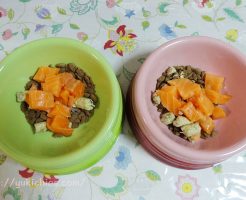 お刺身サーモン＆グリーン・トライプとドッグフードのごはん