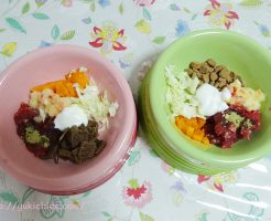 バターナッツかぼちゃと馬肉の犬ごはん　馬肉・バターナッツかぼちゃ・りんご・キャベツ・ドッグフード・無糖ヨーグルト・ブロッコリーパウダー