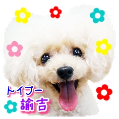 LIENスタンプ　トイプー諭吉☆yゆるカワ犬 諭吉＆杏