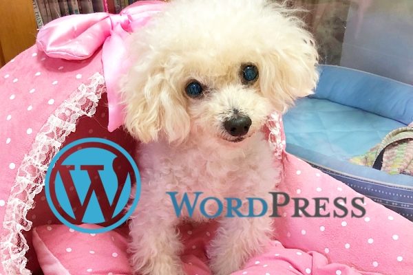 【完全初心者向け】WordPressでかわいい犬ブログのはじめ方